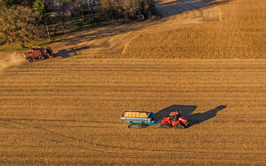 El comercio de cereal y de soja teme que «se esté generando la tormenta perfecta» en el mercado europeo por la guerra arancelaria