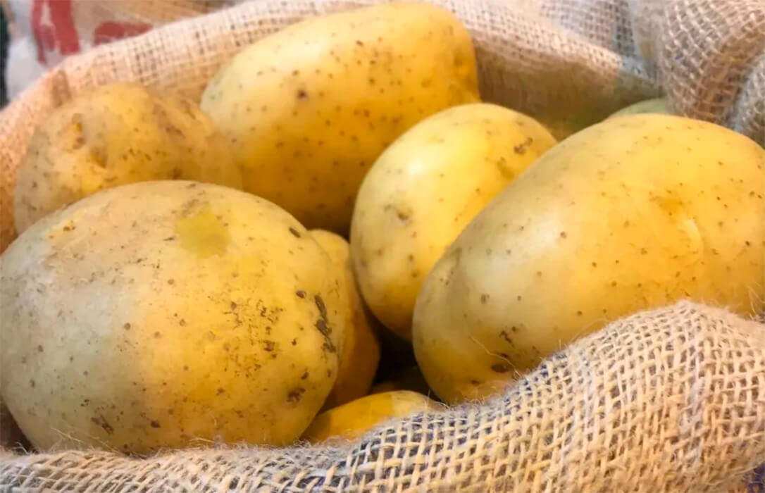 La guerra de la patata: la campaña arranca tarde y con nervios y cruce de acusaciones por la importación y la bajada de precios en origen