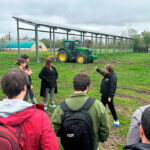 Una innovadora instalación agrovoltaica analiza en Euskadi la compatibilidad entre producción agrícola y energía solar