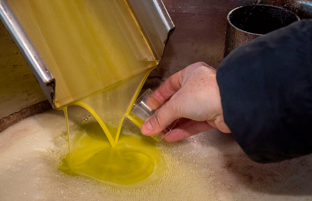 Paradojas comerciales: La bajada en un 50% el precio en origen del aceite ayudará a que los aranceles de Trump no hagan tanto daño al sector