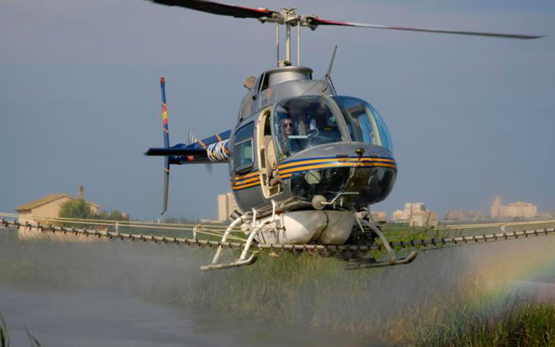 La burocracia deja sin vuelos de helicóptero a los arroceros de l’Albufera para combatir la piricularia por las trabas impuestas