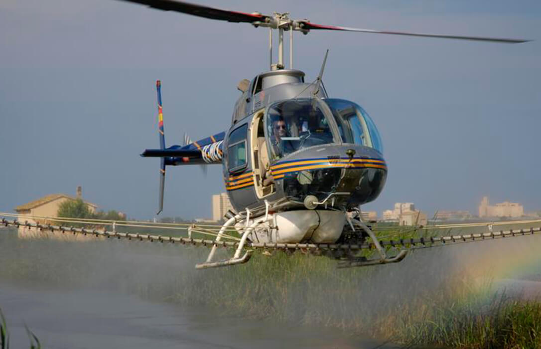 La burocracia deja sin vuelos de helicóptero a los arroceros de l’Albufera para combatir la piricularia por las trabas impuestas