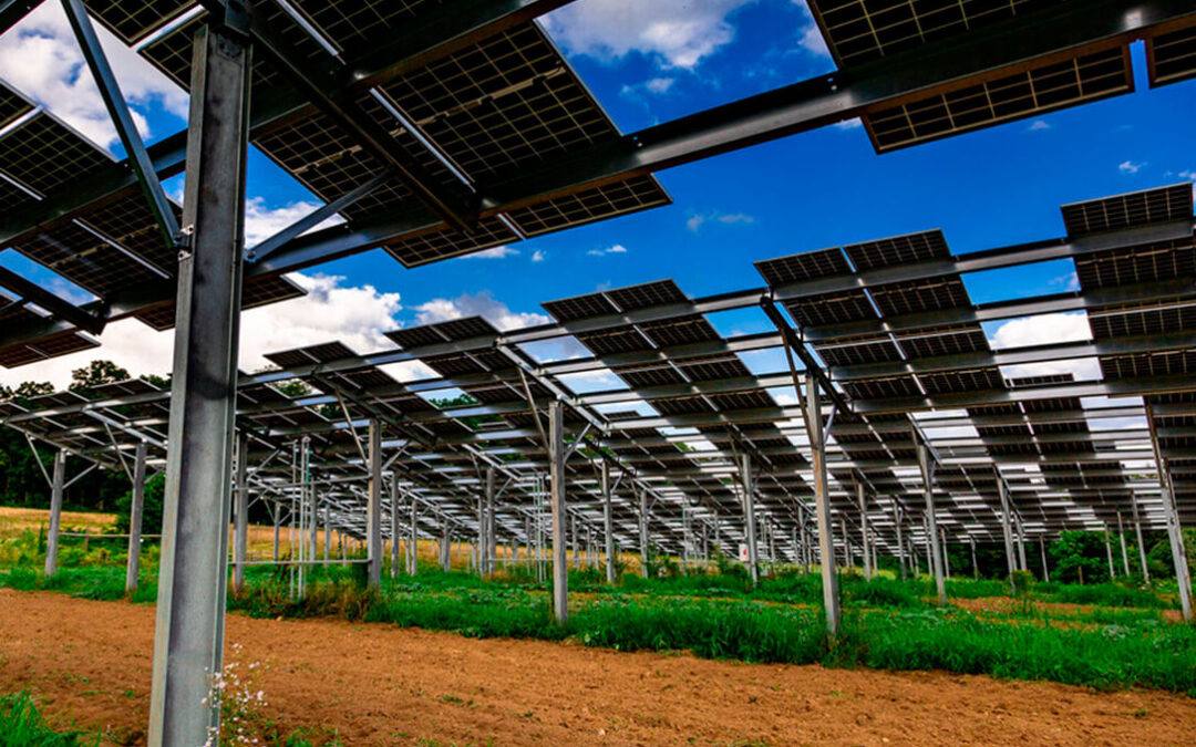 El Ministerio debate sobre los sistemas agrivoltaicos que combinan la actividad agraria y energética pero priorizando el uso agrícola