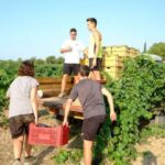 SOS Rural reclama un plan integral en la Ley de Agricultura Familiar que devuelva la ilusión de los jóvenes por el campo