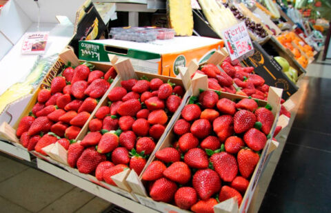 La producción de fresa de Huelva se encuentra entre un 40 y un 50% por debajo de lo normal y con precios que no cubren costes