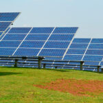 Denuncian que la normativa sobre la utilidad pública en parques fotovoltaicos permite que «explotaciones agrarias rentables sean desmanteladas»