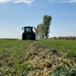 La producción de alfalfa y otros forrajes deshidratados crece un 16% esta campaña tras superar el mal año anterior por la sequía