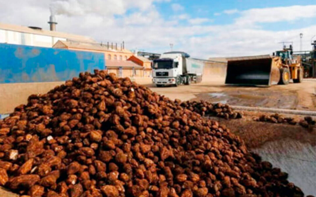 Azucarera da un portazo al sector remolachero: cierra la planta de La Bañeza y deja de molturar en la de Miranda del Ebro