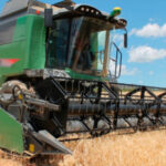 Se incrementa la crisis de precios y falta de rentabilidad los cereales: el trigo sigue su caída y ha cotizado a 198 €/t en la lonja de León