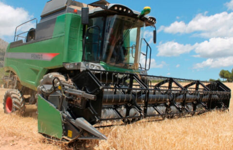 Se incrementa la crisis de precios y falta de rentabilidad los cereales: el trigo sigue su caída y ha cotizado a 198 €/t en la lonja de León