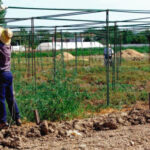 El Ministerio convoca ayudas para programas plurirregionales de formación por dos millones para ampliar la competitividad en el mundo rural