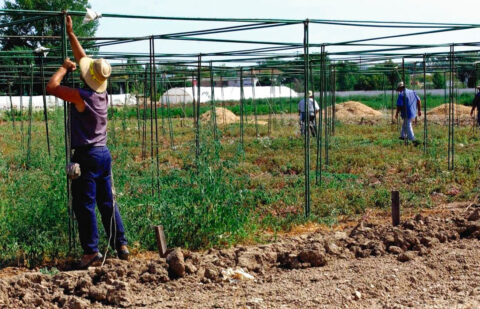 El Ministerio convoca ayudas para programas plurirregionales de formación por dos millones para ampliar la competitividad en el mundo rural