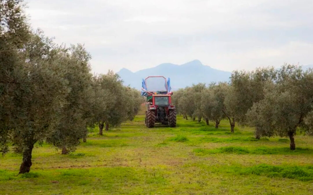La sostenibilidad da dinero: Agricultores de la DOP Estepa podrían obtener 20 millones por la venta de créditos de carbono