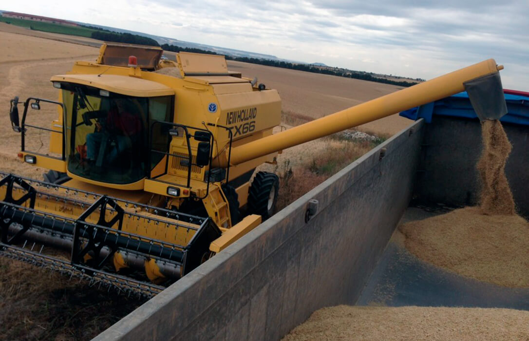 La crisis del cereal la pagan los agricultores: sube el pan y los piensos bajan la mitad de la subida; las protestas se extenderán por todas las CCAA