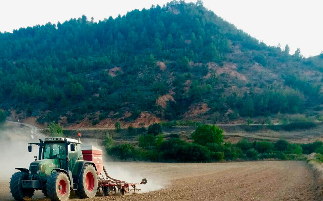 Sigue la preocupación por la critica situación de los cereales y piden una reunión urgente con Comercio ante las últimas prácticas especulativas