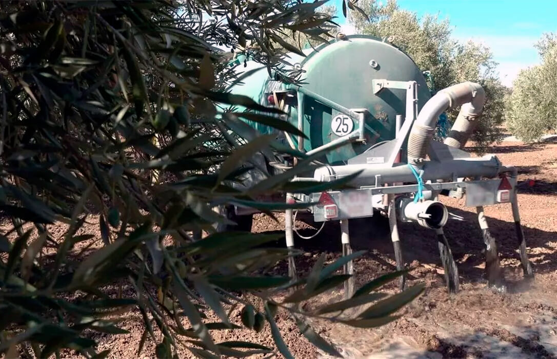 Del cerdo hasta más allá de los andares: los subproductos generados de las granjas porcinas encuentran nuevos usos en la agricultura