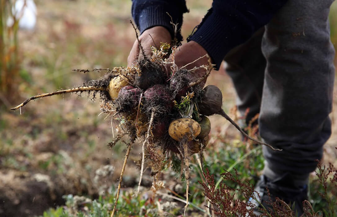 Estabilidad, salarios y respeto laboral en la PAC: las reivindicaciones de los trabajadores agrícolas también llegan en el 1 de Mayo