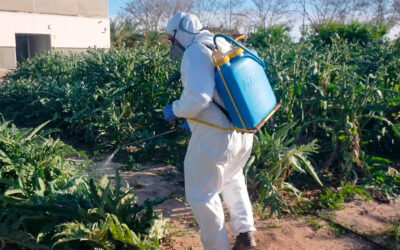 Una formación agraria de referencia: ASAJA Alicante incrementa en un 358% sus alumnos en los últimos tres años