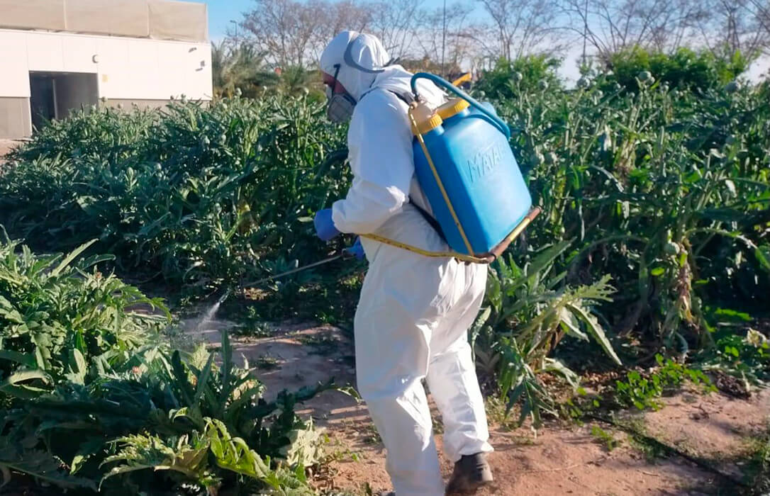 Una formación agraria de referencia: ASAJA Alicante incrementa en un 358% sus alumnos en los últimos tres años