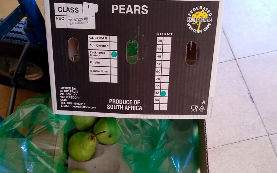 Denuncian el reparto de fruta procedente de terceros países en comedores de centros educativos de Aragón
