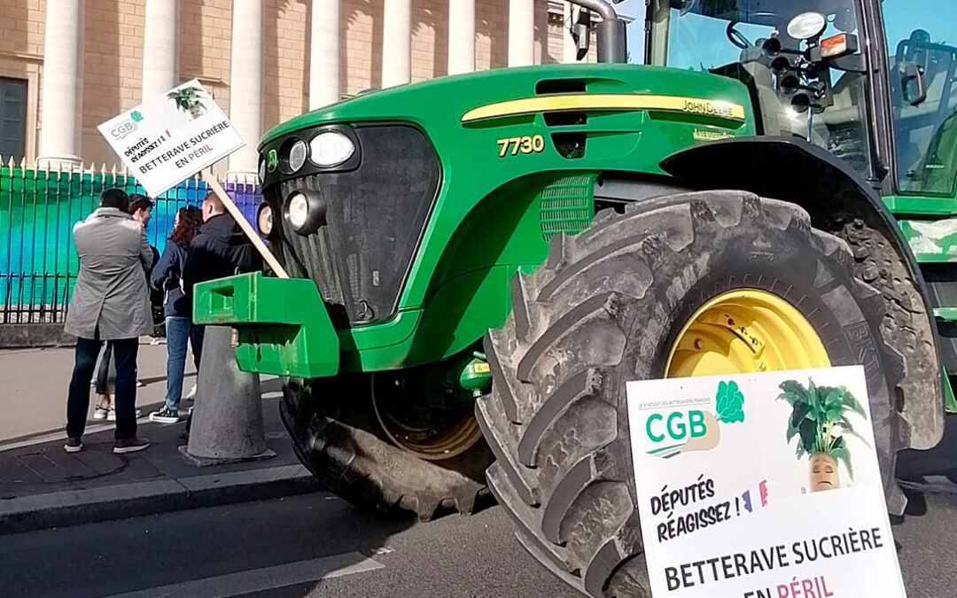 Los agricultores franceses vuelven a protestar en las calles de París para defender una ley que autorizaría insecticidas ahora prohibidos