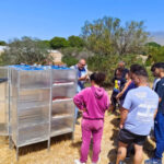 El Ministerio concede ayudas por 5,6 millones a 33 proyectos de intercambio de conocimiento y formación en el sector agroalimentario