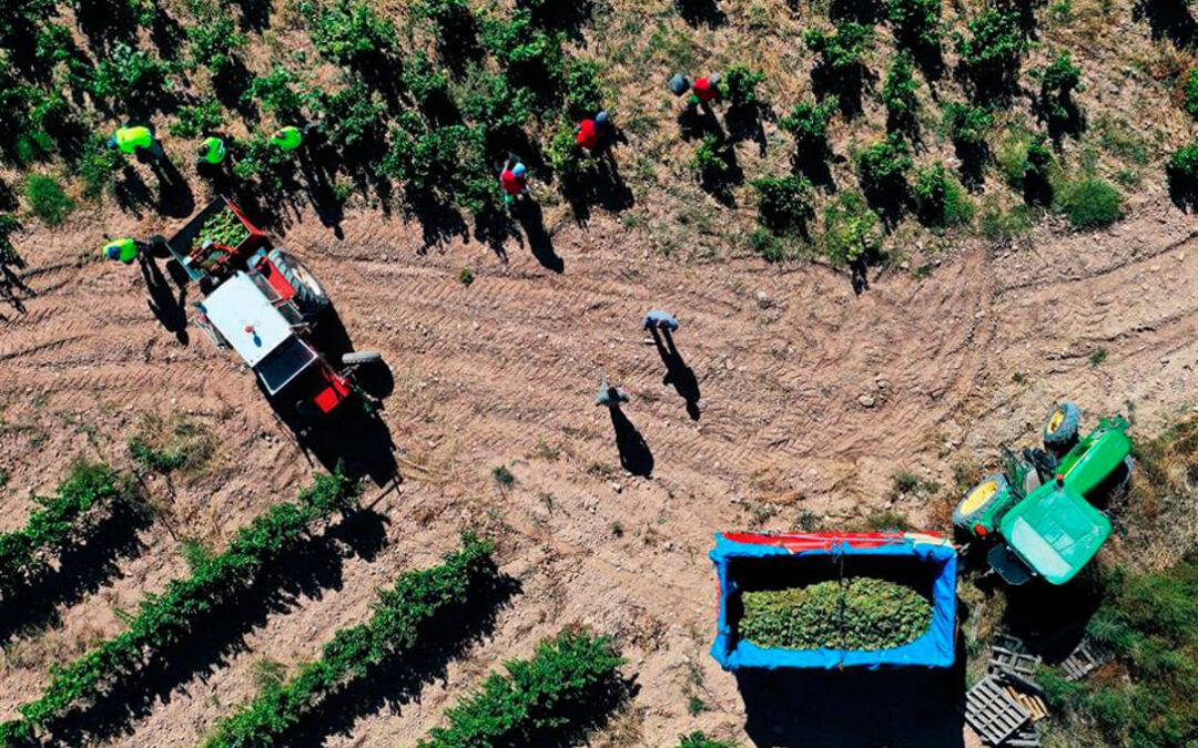 La ingeniería agrícola y profesionales del desarrollo local unen fuerzas para impulsar el emprendimiento rural