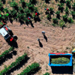La ingeniería agrícola y profesionales del desarrollo local unen fuerzas para impulsar el emprendimiento rural
