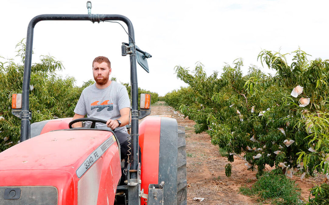 UPA se desmarca del COPA-Cogeca sobre la propuesta para fortalecer la posición de los agricultores ante las prácticas comerciales desleales