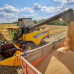 El sector se mueve: ASAJA, COAG y UPA exigen a Planas limitar ya las importaciones de cereal ucraniano y activar ayudas urgentes al sector