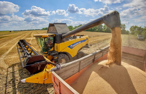 El sector se mueve: ASAJA, COAG y UPA exigen a Planas limitar ya las importaciones de cereal ucraniano y activar ayudas urgentes al sector