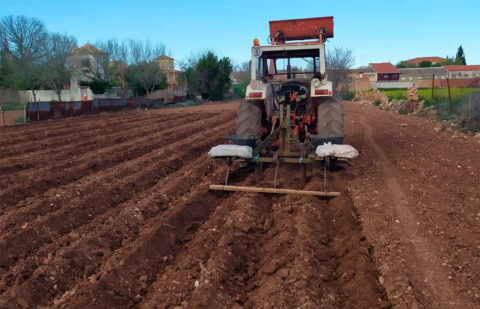 El Ministerio de Agricultura fija los importes unitarios definitivos de los eco-regímenes de la PAC 2024