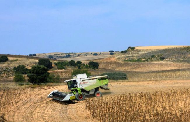 El campo español se muestra más a favor que en contra de las medidas de simplificación de la PAC pero con muchos matices y críticas