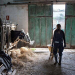 Reforzar lo rural y el momento de revertir su situación: Cómo nuestras regiones rurales pueden impulsar el futuro