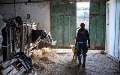 Reforzar lo rural y el momento de revertir su situación: Cómo nuestras regiones rurales pueden impulsar el futuro