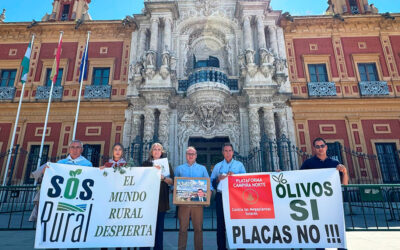 Más de 55.000 firmas contra la decisión de la Junta de Andalucía de talar olivos centenarios para poner placas solares
