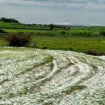 Las tormentas arrasan miles de hectáreas de cultivo: «las pérdidas serán millonarias» y piden convocar la Mesa de Adversidades Climáticas