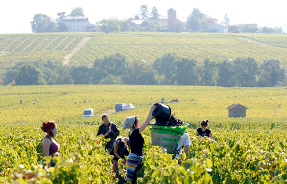 Alertan del impacto de una reducción de jornada «pensada desde la ciudad» sin tener en cuenta las particularidades del sector agrario