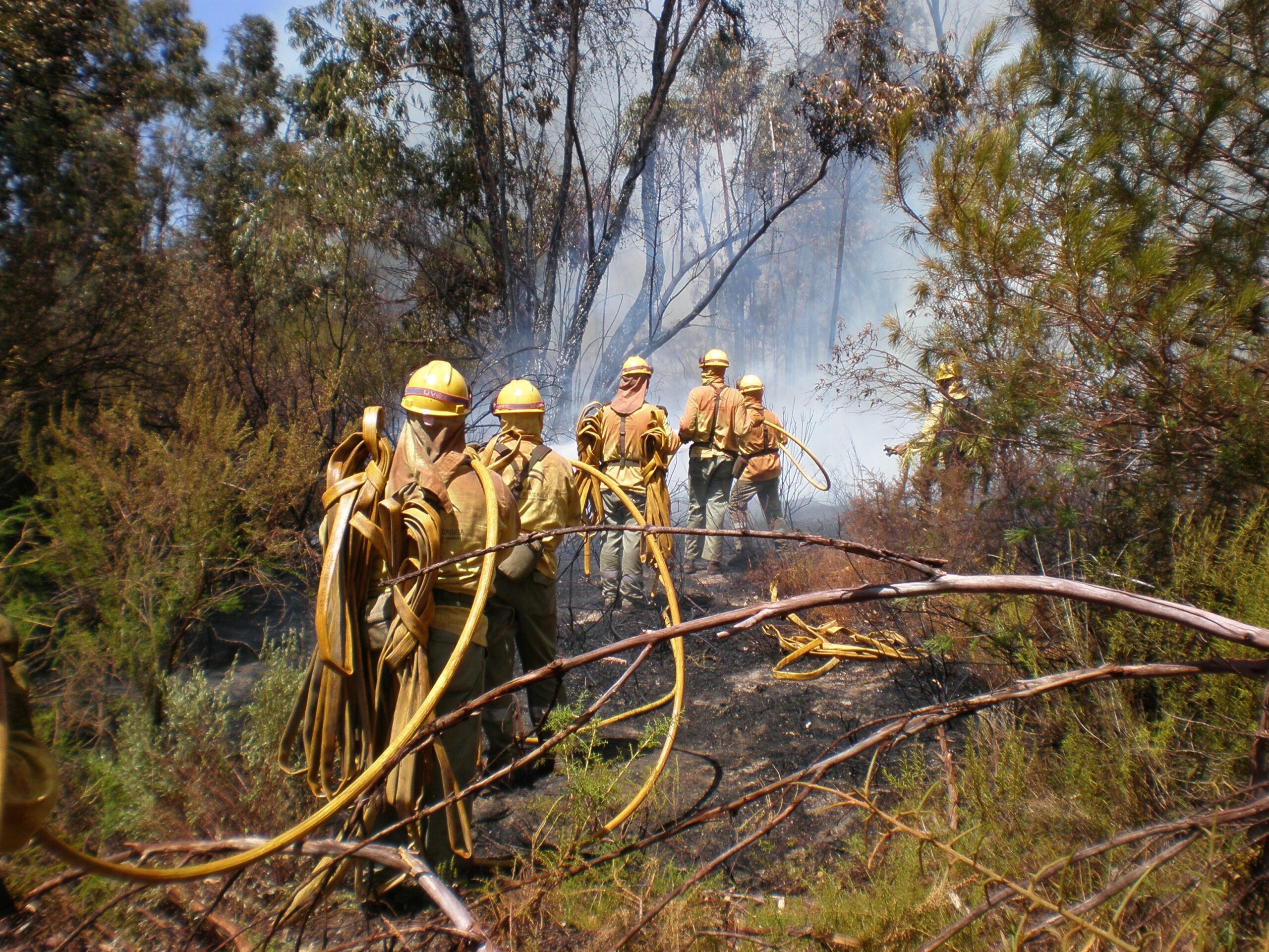 El Plan andaluz de Extinción de Incendios contará este año con 4.700 efectivos y más tecnología digital e incluso inteligencia artificial