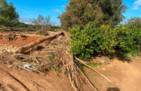 El Gobierno amplía el plazo para que las explotaciones afectadas por la DANA ratifiquen su interés en que Tragsa repare los daños sufridos