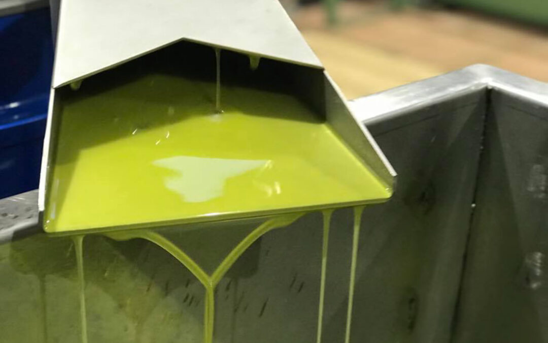Piden más valentía para vender por encima de costes: ya se ha vendido un 61,5% de la producción total de aceite y cada día el sector pierde 8 millones