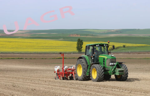 Supervivencia del sector agrario, alimentación de calidad