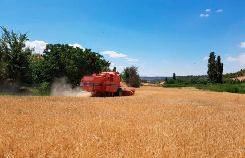 Piden suspender la cotización de las lonjas de Valladolid y Palencia por la crisis del cereal: mantener la publicación de precios solo agrava la situación