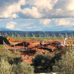 Exigen a la Junta de Andalucía no talar ni un solo olivo centenario más e impulsar una ley que proteja el suelo frente a megaplantas fotovoltaicas