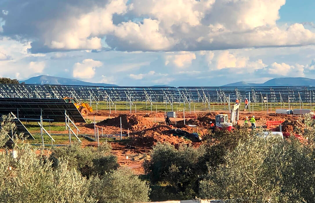 Exigen a la Junta de Andalucía no talar ni un solo olivo centenario más e impulsar una ley que proteja el suelo frente a megaplantas fotovoltaicas