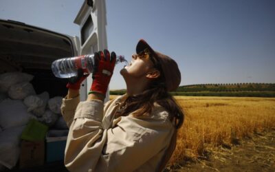 2024 fue el tercer año mas cálido en España de la serie histórica con tres olas de calor pero ninguna de frío y la DANA