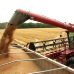Instan a restablecer las cláusulas de salvaguarda a las importaciones de trigo blando y cebada de Ucrania ante la caída de los precios nacionales