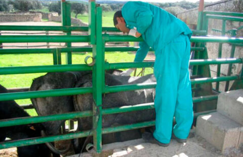 Conclusiones de la Jornada sobre Tuberculosis Bovina: El sector clama, la investigación avala y la administración desoye