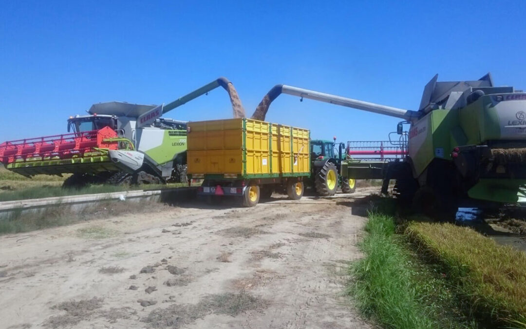 Primera concentración ante la crisis de los cereales este jueves ante la lonja de Segovia: los precios están en niveles similares a los de diciembre de 2010