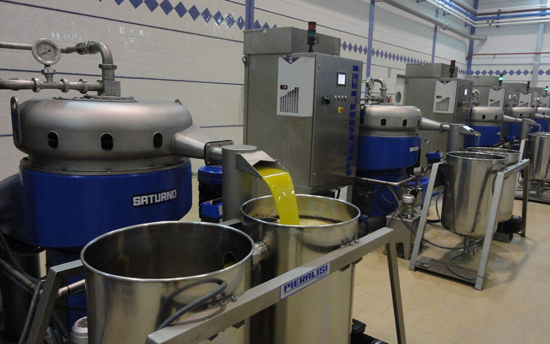 Las denuncias del sector no alivian la tensión y la tendencia de los precios del aceite no queda clara, aunque se nota un leve incremento